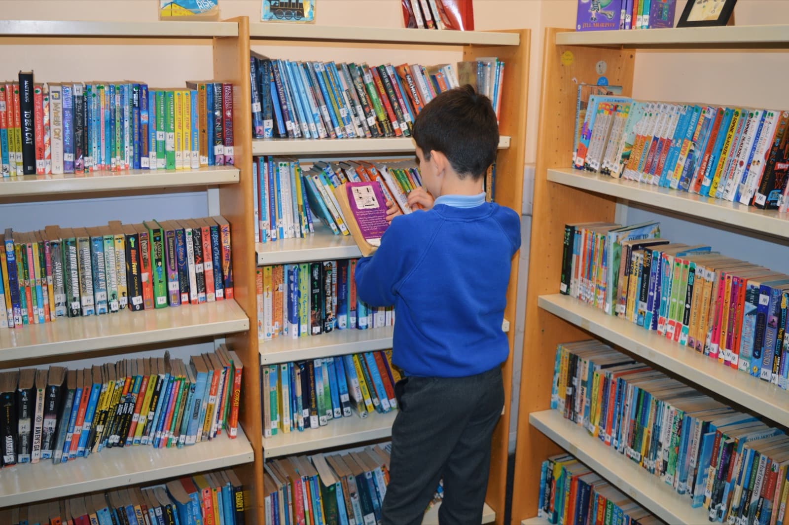 A pupil browsing books in the ESPS library